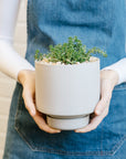 Light Grey Collectors Gro Pot by Angus & Celeste コレクターズグロウポット ライトグレー