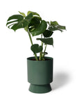 Palm Springs Planter Large by Lightly パームスプリングスプランター L