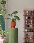 Palm Springs Planter Large by Lightly パームスプリングスプランター L
