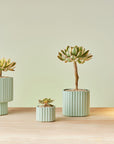 Modular Stack Planter by Angus & Celeste モジュールスタック プランター