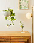 Grey Crackle Spherical Hanging Planter by Angus & Celeste ハンギングプランター グレークラックル