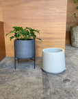 Coogee Plant Stand アイアンプランタースタンド