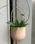Fanne Hanging Planter ファンヌハンギング