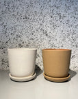 Brunswick Planter ブランズウィックプランター