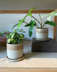 Speckle White Dip Planter by Arcadia Scott スペックル ホワイトディッププランター