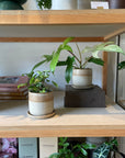 Speckle White Dip Planter by Arcadia Scott スペックル ホワイトディッププランター