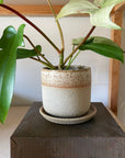 Speckle White Dip Planter by Arcadia Scott スペックル ホワイトディッププランター