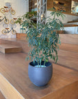 Round Planter ラウンドプランター