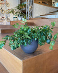 Round Planter ラウンドプランター