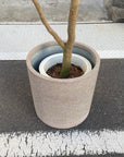 Cylinder Speckle Planter in Earthy Colour with Saucer シリンダー スペックルプランター ソーサー付
