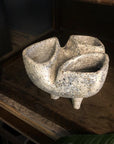 Subliminal Planter by Buzzby & Fang サブリミナルプランター