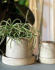 Stoneware Planter in Pebble by Kristin Olds ストーンウェアプランター