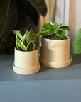 Stoneware Planter in Stone by Kristin Olds ストーンウェアプランター