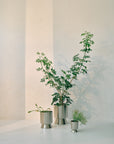 Palm Springs Planter Small by Lightly パームスプリングスプランター S