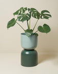 Two Tone Planter Extra Large by Lightly ツートーンプランター XL
