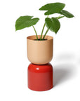 Two Tone Planter Extra Large by Lightly ツートーンプランター XL