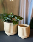 Footed Planter by Arcadia Scott フーテッドプランター
