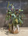 Misty Morning Planter by Leaf & Thread ミスティーモーニングプランター
