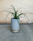 Misty Morning Planter by Leaf & Thread ミスティーモーニングプランター