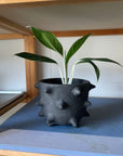Spike Planter by Buzzby & Fang スパイクプランター