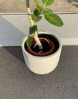 Round U Planter Mono ラウンドUプランターモノ