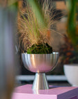 Vera Planter Large by Lightly ヴェラプランター L
