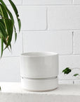 Cora Planter by The Plant Society コラプランター