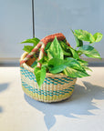 Basket from Africa アフリカン バスケット
