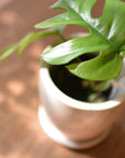 Mio Planter ミオプランター