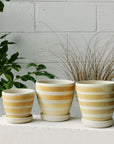 Apricot Stripe Wood Fired by Sandra Bowkett アプリコット ストライププランター