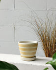 Apricot Stripe Wood Fired by Sandra Bowkett アプリコット ストライププランター