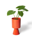 Palm Springs Planter Medium by Lightly パームスプリングスプランター M