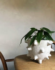 Spike Planter by Buzzby & Fang スパイクプランター