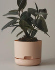 250mm Self Watering Planter by Mr Kitly ミスターキトリー プランター