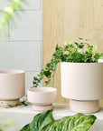 Soft Pink Collectors Gro Pot by Angus & Celeste コレクターズグロウポット ソフトピンク
