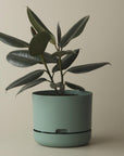 250mm Self Watering Planter by Mr Kitly ミスターキトリー プランター