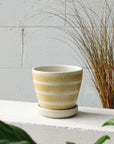 Apricot Stripe Wood Fired by Sandra Bowkett アプリコット ストライププランター
