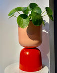 Two Tone Planter by Lightly ツートーン プランター
