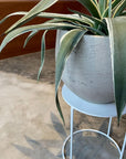 Round Planter ラウンドプランター