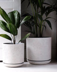Speckle Planter with saucer スペックルプランター ソーサー付