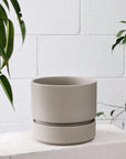 Cora Planter  by The Plant Society コラプランター