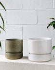Cora Planter  by The Plant Society コラプランター