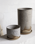 Misty Morning Planter by Leaf & Thread ミスティーモーニングプランター
