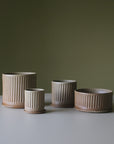 Oatmeal Fluted Planter by Arcadia Scott　オートミール　フルーテッドプランター