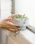 Light Grey Collectors Gro Pot by Angus & Celeste　コレクターズグロウポット ライトグレー