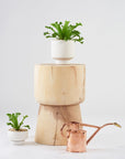 White Collectors Gro Pot  by Angus & Celeste コレクターズグロウポット ホワイト