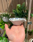 Pourer Dipping Bowl by Bridget Bodenham ミニ片口ボウル
