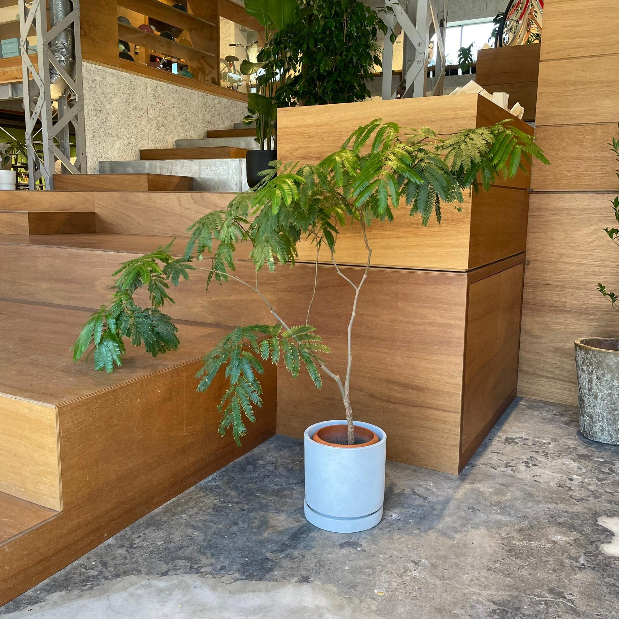 Speckle Planter with saucer  スペックルプランター ソーサー付