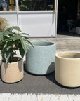 Windsor Planter  ウィンドソープランター