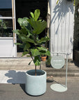 Windsor Planter  ウィンドソープランター